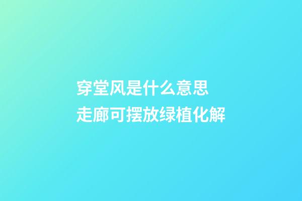 穿堂风是什么意思  走廊可摆放绿植化解